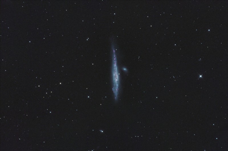 C32_NGC4631_RC10_LRVBHa fo.jpg
