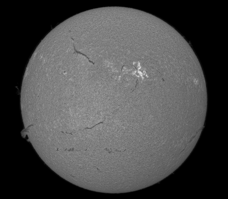 2026-05-16-1009_8-S-G-Sun_Halpha_ZWO ASI585MM_Gain=142_Exposure=7.5ms_13_Gamma=30_Surface_22.fit-ImPPG.02.Pix.01-Affinity.01.png