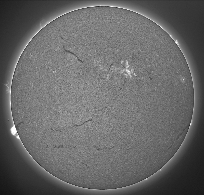 2026-05-16-1009_8-S-G-Sun_Halpha_ZWO ASI585MM_Gain=142_Exposure=7.5ms_13_Gamma=30_Surface_22.fit-ImPPG.02.Pix.01-Affinity.02.png