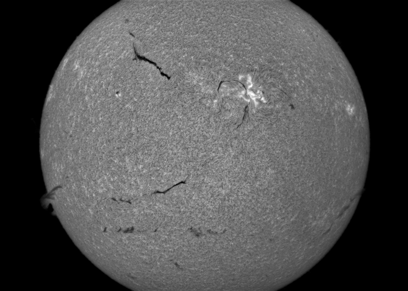2026-05-16-1013_7-S-G-Sun_Halpha_ZWO ASI585MM_Gain=149_Exposure=7.5ms_17_Gamma=41_Surface_22.fit-ROI-ImPPG.01-Pix.05-Affinity.02.png