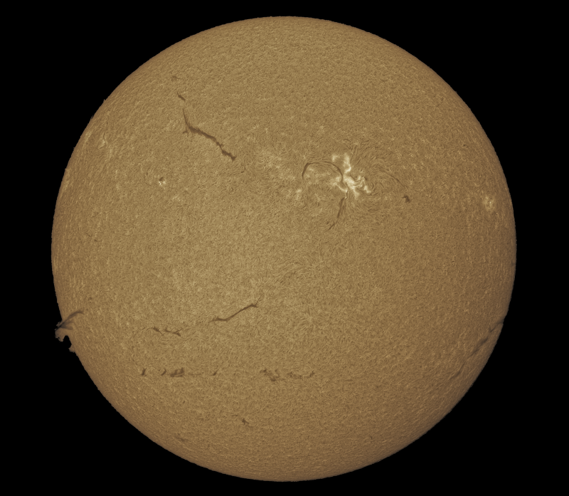 2026-05-16-1009_8-S-G-Sun_Halpha_ZWO ASI585MM_Gain=142_Exposure=7.5ms_13_Gamma=30_Surface_22.fit-ImPPG.02.Pix.01-Affinity.03.png