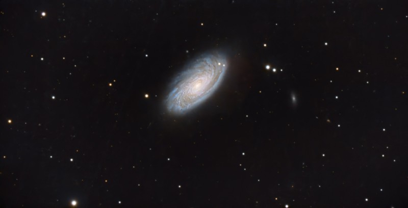 M88DARKI.jpg