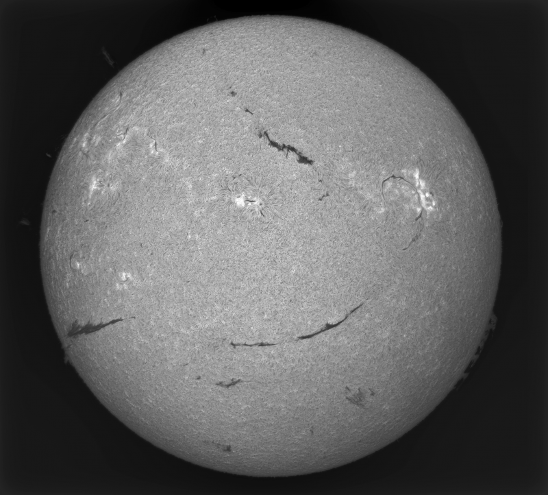 2026-05-18-0912_0-S-G-Sun_Halpha_ZWO ASI585MM_Gain=163_Exposure=7.5ms_14_Gamma=30_Surface_22.fit-ImPPG.01.-Pix.01-Affinity.01.png