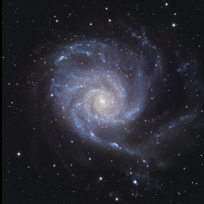 m101 mai 2026.jpg