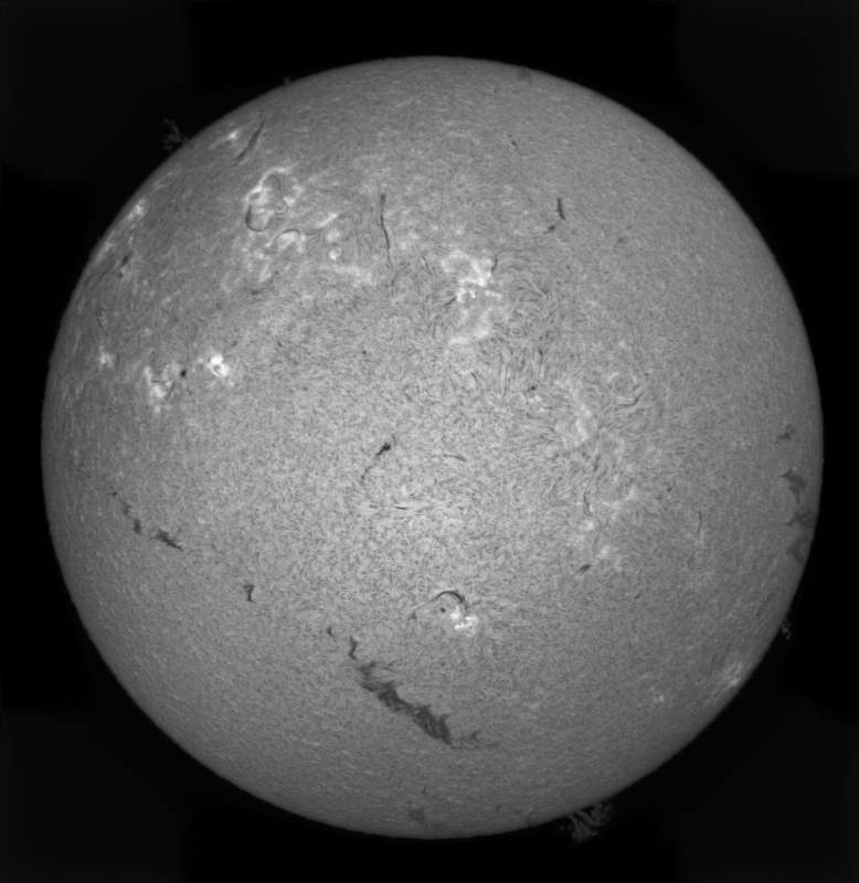 2026-05-24-0910_8-S-G-Sun_Halpha_ZWO ASI183MM_Gain=178_Exposure=7.3ms_7_Gamma=30_Surface_28.fit-ImPPG.04-Pix.05-Affinity.03.png