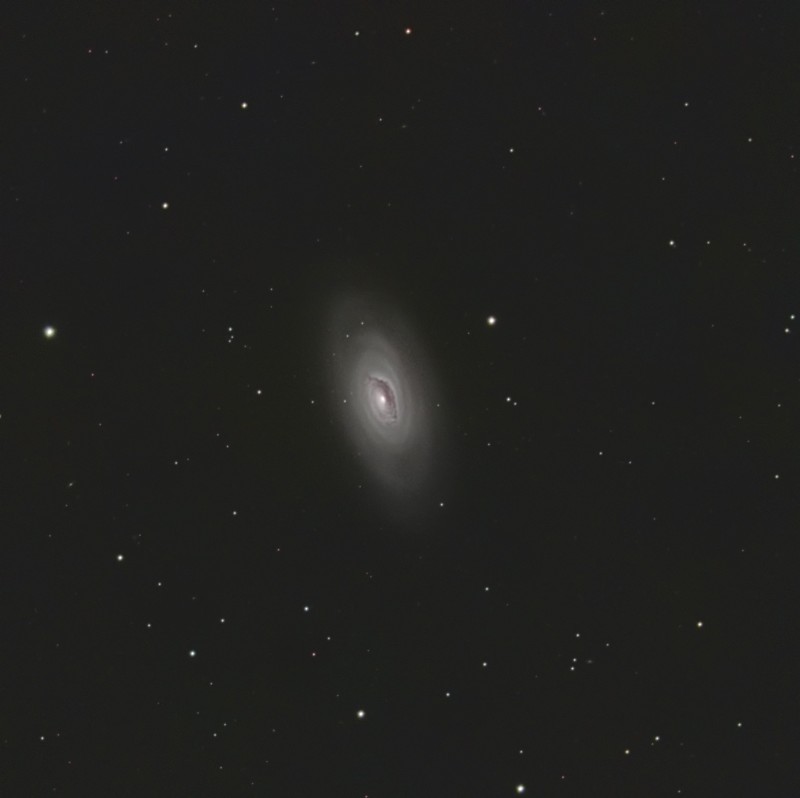 m64 v1.jpg