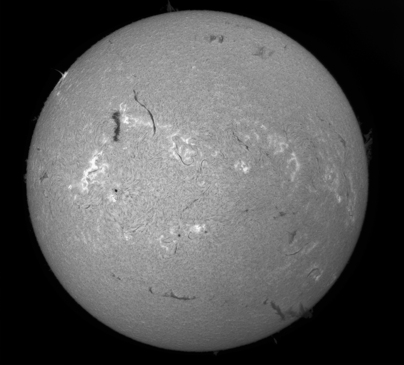 2026-05-27-0939_1-U-G-Sun_Halpha_ZWO ASI585MM_Gain=176_Exposure=6.9ms_Gamma=30_13_Surface_22.fit-ImPPG.01-Pix.01-Affinity.01png.png