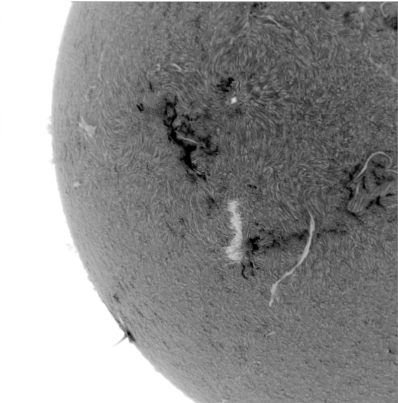 2026-05-27-0939_9-U-G-Sun_Halpha_ZWO ASI585MM_Gain=176_Exposure=6.9ms_Gamma=30_14_Surface_22_Sharp20_B1.0_C1.0_S1_N1_INV.01.png