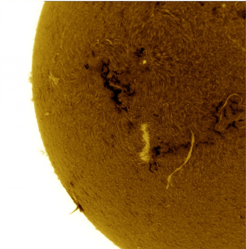 2026-05-27-0939_9-U-G-Sun_Halpha_ZWO ASI585MM_Gain=176_Exposure=6.9ms_Gamma=30_14_Surface_22_Sharp20_B1.0_C1.0_S1_N1_SUN_INV.jpg