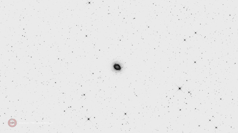 Dec M57 neg.jpg