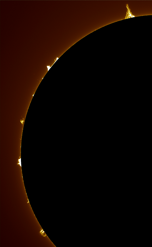 2026-05-28-1128_3-U-G-Sun_Halpha_ZWO ASI585MM_Gain=240_Exposure=18.5ms_Gamma=71_25_Surface_28_Sharp24_B1.0_C1.0_S1_N1-Protus02.4-CROP02.png