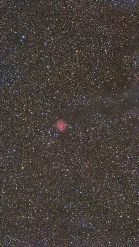 IC5126COCOON123MN.jpg