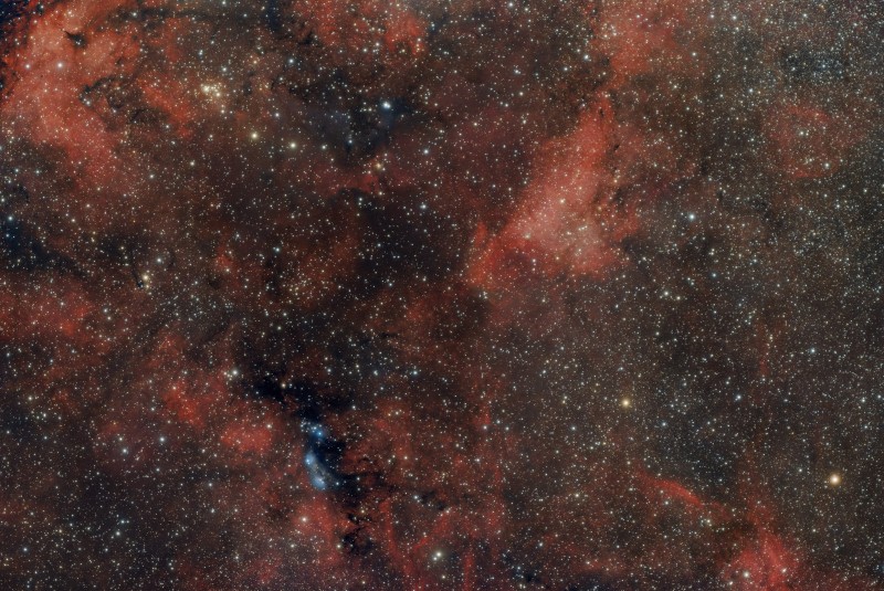 IC1318-002.jpg