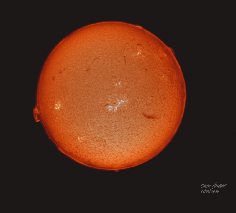 2026-06-14-120922-Soleil Ha couleur signé.png