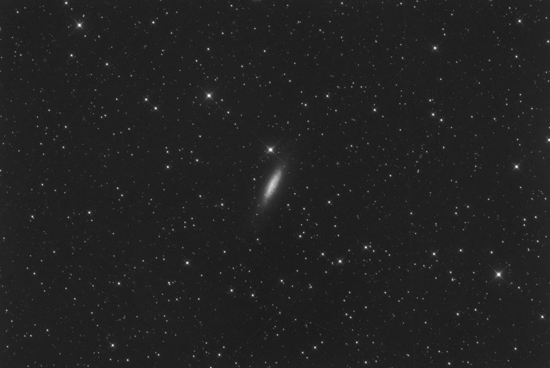 NGC6503_.jpg