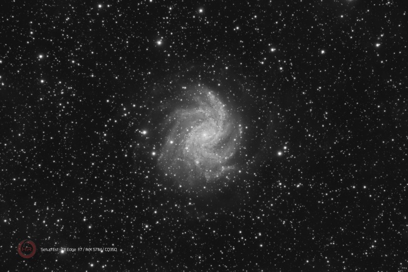 NGC 6946 Cep STE L_20X180s G300OF300.jpg