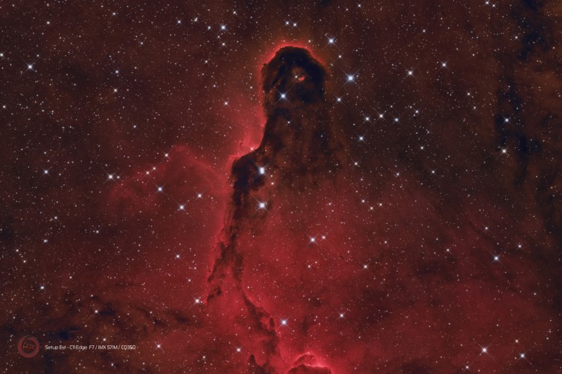 IC 1396 Cep STE HOO .jpg
