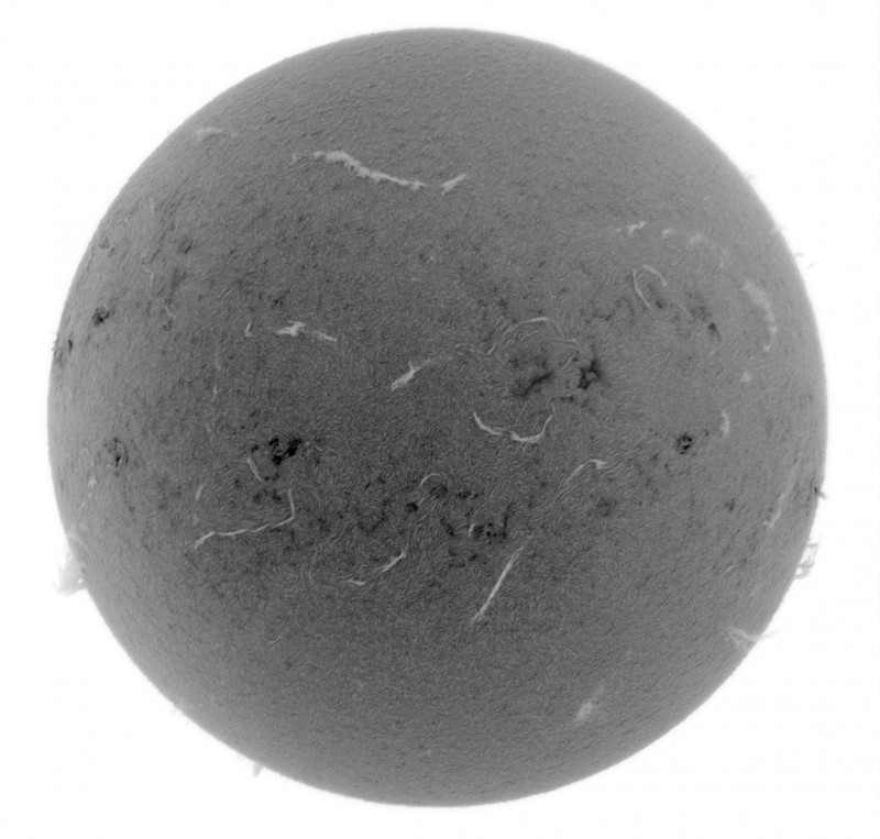 2026-06-20-0929_9-U-G-Sun_Halpha_ZWO ASI585MM_Gain=155_Exposure=7.9ms_Gamma=50_16_Surface_28_Sharp20_B1.0_C1.0_S1_N1_INV.jpg