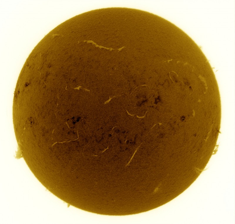 2026-06-20-0929_9-U-G-Sun_Halpha_ZWO ASI585MM_Gain=155_Exposure=7.9ms_Gamma=50_16_Surface_28_Sharp20_B1.0_C1.0_S1_N1_SUN_INV.jpg