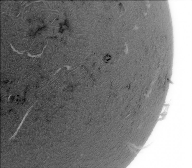 2026-06-20-0926_4-U-G-Sun_Halpha_ZWO ASI585MM_Gain=155_Exposure=7.9ms_Gamma=55_14_Surface_28_Sharp22_B1.0_C1.0_S1_N1_INV.jpg