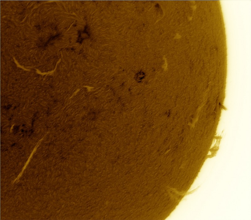 2026-06-20-0926_4-U-G-Sun_Halpha_ZWO ASI585MM_Gain=155_Exposure=7.9ms_Gamma=55_14_Surface_28_Sharp22_B1.0_C1.0_S1_N1_SUN_INV.jpg