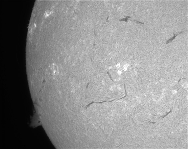 2026-06-20-0927_7-U-G-Sun_Halpha_ZWO ASI585MM_Gain=155_Exposure=7.9ms_Gamma=54_15_Surface_28_Sharp20_B1.0_C1.0_S1_N1.jpg