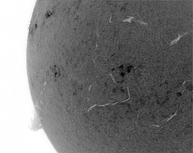 2026-06-20-0927_7-U-G-Sun_Halpha_ZWO ASI585MM_Gain=155_Exposure=7.9ms_Gamma=54_15_Surface_28_Sharp24_B1.0_C1.0_S1_N1_INV.jpg