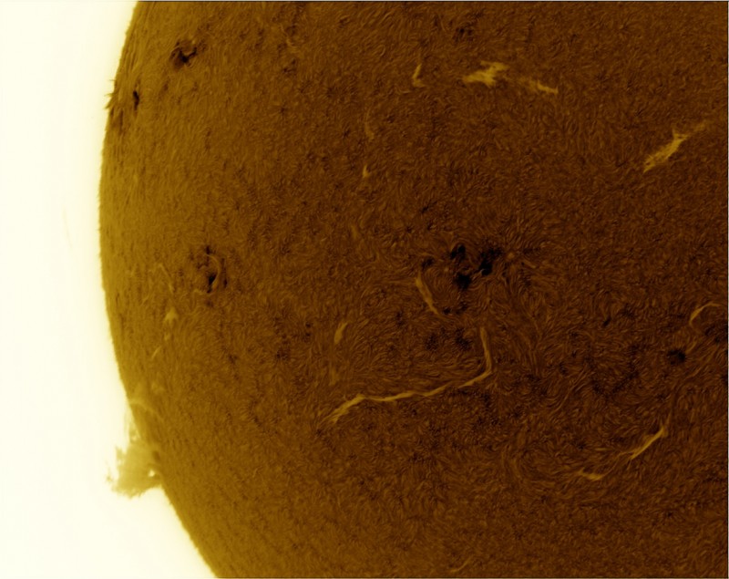 2026-06-20-0927_7-U-G-Sun_Halpha_ZWO ASI585MM_Gain=155_Exposure=7.9ms_Gamma=54_15_Surface_28_Sharp24_B1.0_C1.0_S1_N1_SUN_INV.jpg