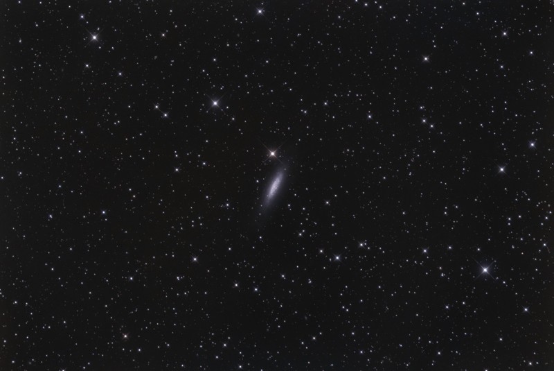 ngc6503-010.jpg