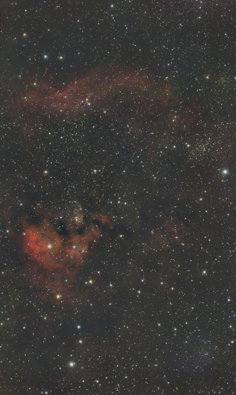 S2171.jpg