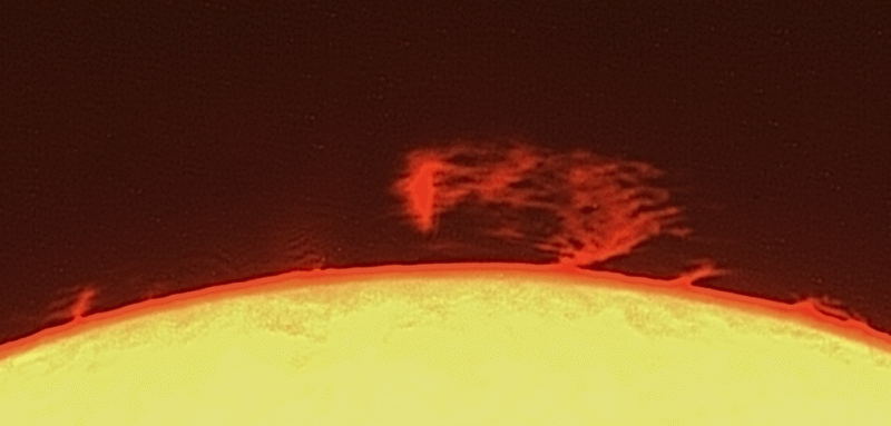 2026-06-14-1449_7-Capture_100r_32T_96regA_pipp.gif