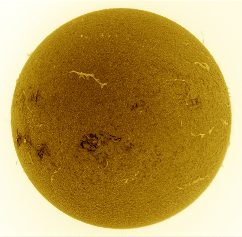 2026-06-25-0844_3-U-G-Sun_Halpha_ZWO ASI585MM_Gain=208_Exposure=7.9ms_Gamma=30_1_Surface_28_Sharp24_B1.0_C1.0_S1_N1_SUN_INV-Affinity.02.png