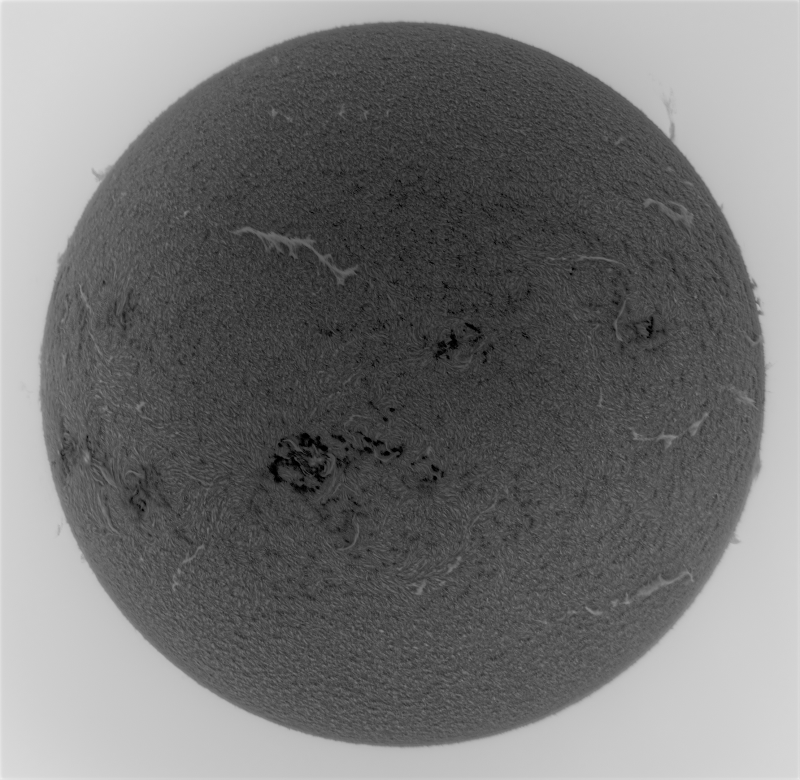 2026-06-25-0848_8-U-G-Sun_Halpha_ZWO ASI585MM_Gain=147_Exposure=30.9ms_Gamma=69_3_Surface_28_Sharp24_B1.0_C1.0_S1_N1_INV-Affinity.01.png
