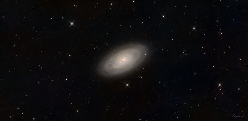 M64