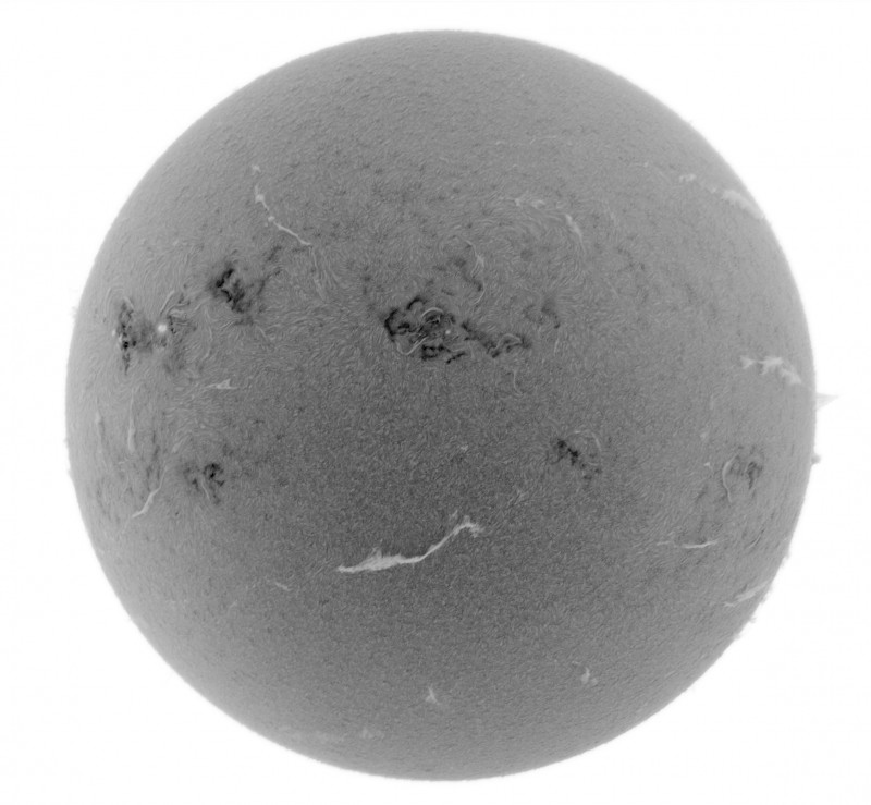 2026-06-26-0849_2-U-G-Sun_Halpha_ZWO ASI585MM_Gain=141_Exposure=7.9ms_Gamma=50_2_Surface_28_Sharp20_B1.0_C1.0_S1_N1_INV.jpg