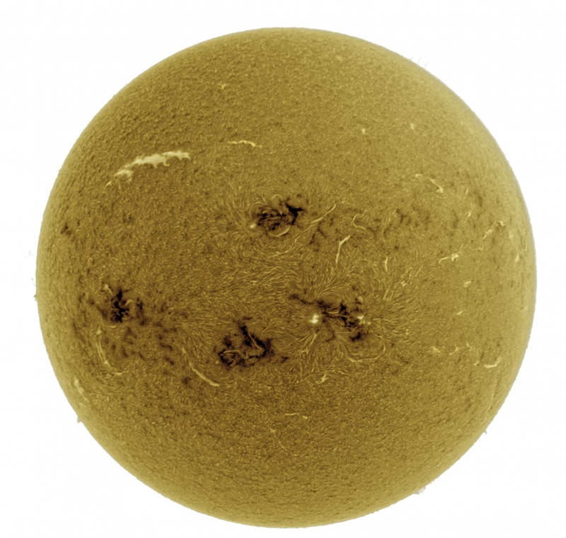 2026-06-29-1412_5-U-G-Sun_Halpha_ZWO ASI585MM_Gain=152_Exposure=7.6ms_Gamma=1_5_Surface_24_Sharp20_B1.0_C1.0_S1_N1_SUN_INV.png