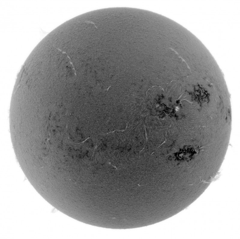 2026-07-02-0852_2-Sun_Surface_24_Sharp20_B1.0_C1.0_S1_N1_INV.jpg