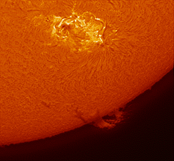 Timelapse00002 at 15_21_29.gif