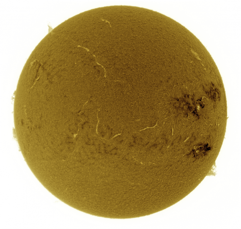 2026-07-03-1430_4-U-G-Sun_Halpha_ZWO ASI585MM_Gain=139_Exposure=7.6ms_Gamma=40_2_Surface_20_Sharp24_B1.0_C1.0_S1_N1_SUN_INV.png
