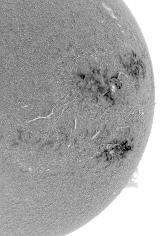 2026-07-03-1436_9-U-G-Sun_Halpha_ZWO ASI585MM_Gain=139_Exposure=7.6ms_Gamma=40_8_Surface_20_Sharp20_B1.0_C1.0_S1_N1_INV.png