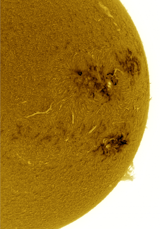 2026-07-03-1436_9-U-G-Sun_Halpha_ZWO ASI585MM_Gain=139_Exposure=7.6ms_Gamma=40_8_Surface_20_Sharp20_B1.0_C1.0_S1_N1_SUN_INV.png