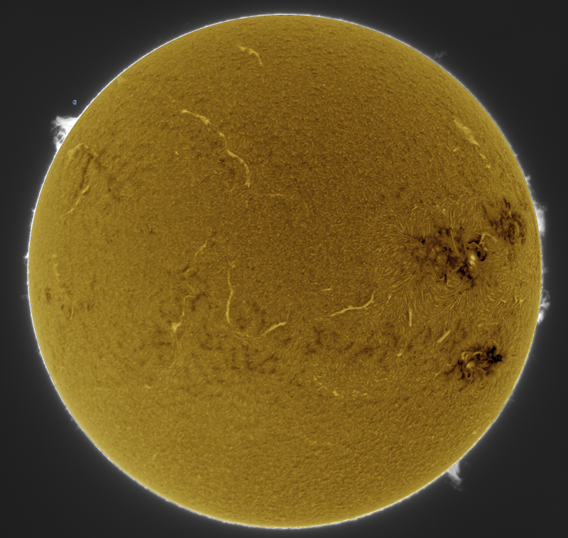 2026-07-03-1430_4-U-G-Sun_Halpha_ZWO ASI585MM_Gain=139_Exposure=7.6ms_Gamma=40_2_Surface_20_Sharp24_B1.0_C1.0_S1_N1_SUN_INV+Protus.png