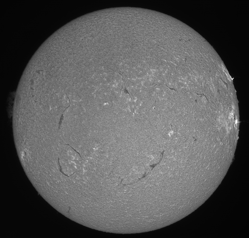 2026-07-05-1431_0-Sun_Surface_20_Sharp20_B1.0_C1.0_S1_N1-HA.01.png