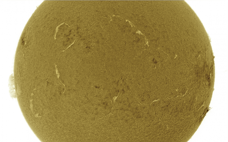 2026-07-05-1504_9-U-G-Sun_Halpha_ZWO ASI585MM_Gain=139_Exposure=7.6ms_Gamma=40_7_Surface_20_Sharp24_B1.0_C1.6_S1_N1_SUN_INV.png