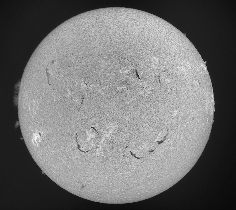 2026-07-06-1447_2-Sun_Surface_22_Sharp20_B1.0_C1.0_S1_N1-HA.02.jpg