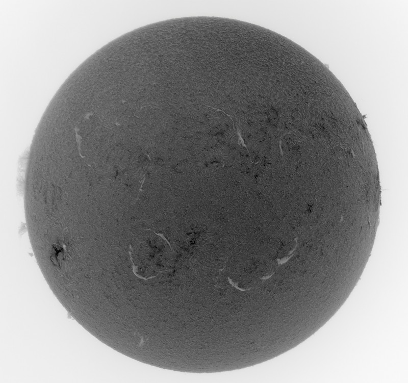 2026-07-06-1447_2-Sun_Surface_22_Sharp20_B1.0_C1.0_S1_N1_INV.jpg