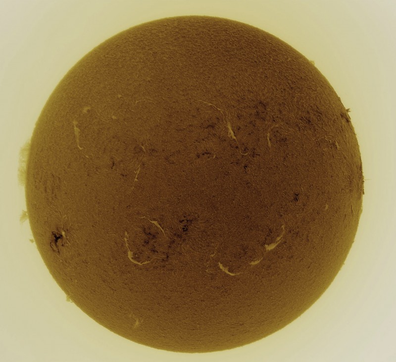 2026-07-06-1447_2-Sun_Surface_22_Sharp20_B1.0_C1.0_S1_N1_SUN_INV.jpg