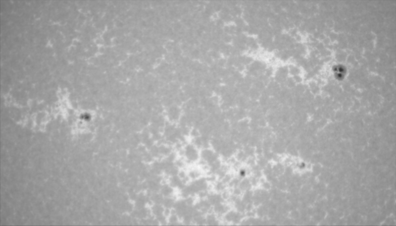 2026-07-27-0815_0-U-G-Sun_CaK_ZWO ASI183MM_Gain=10_Exposure=.0ms_Gamma=19(off)_3_Surface_24.png