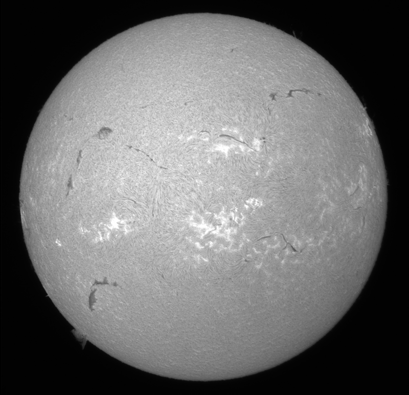 2026-07-27-0827_0-U-G-Sun_Halpha_ZWO ASI585MM_Gain=161_Exposure=7.6ms_Gamma=49_6_Surface_24_Sharp20_B1.0_C1.0_S1_N1.png