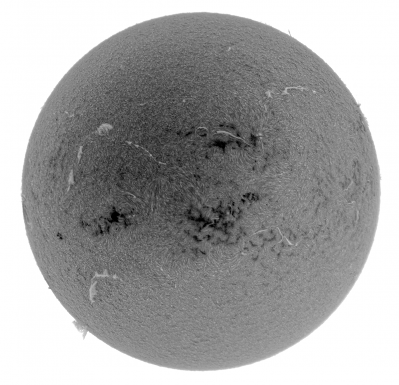 2026-07-27-0835_6-U-G-Sun_Halpha_ZWO ASI585MM_Gain=155_Exposure=8.6ms_Gamma=30_9_Surface_24_Sharp22_B1.0_C1.0_S1_N1_INV.png
